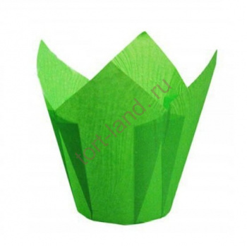 Форма бумажная зелёная 50*80 (1 шт) – «Тортленд»