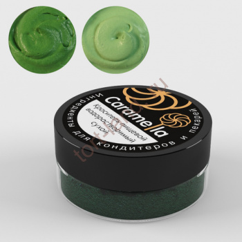 Краситель сухой водорастворимый Caramella Зеленая трава 20 гр – «Тортленд»